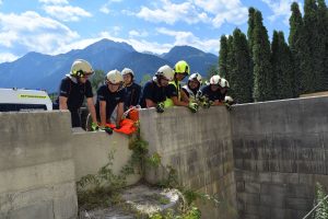 Übung Rettungshundebrigade