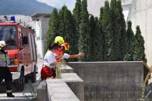 Übung Rettungshundebrigade